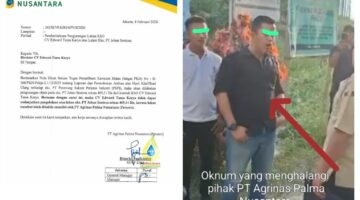 Negara Tak Boleh Kalah!! PT. Agrinas Palma Nusantara Mendesak Pihak Kepolisian Menindak Tegas KSO CV. ETK yang Memanen Paksa Padahal KSO nya Sudah Dibatalkan.