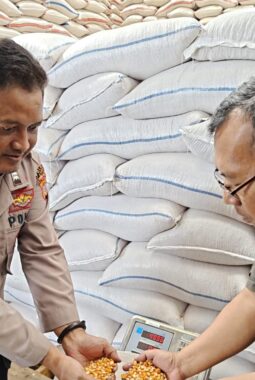 4 Ton Jagung Petani Cibalong Diserap Bulog, Polri Hadir Dukung Ketahanan Pangan