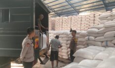 Polsek Caringin Kawal Penyerapan 4 Ton Jagung Hasil Panen Raya untuk Dukung Ketahanan Pangan Nasional