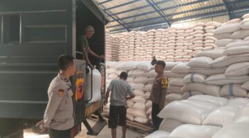 Polsek Caringin Kawal Penyerapan 4 Ton Jagung Hasil Panen Raya untuk Dukung Ketahanan Pangan Nasional