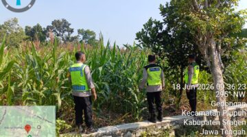Dukung Swasembada Pangan Nasional, Polsek Plupuh Tinjau Lahan Jagung Produktif di Gedongan