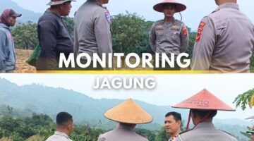 Kasatlantas Polres Majalengka Monitoring Tanaman Jagung Dukung Program Ketahanan Pangan Nasional