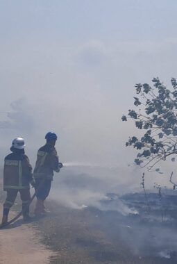 UPT Damkar Pameungpeuk Gerak Cepat Padamkan Kebakaran Lahan TNI AURI di Cikelet