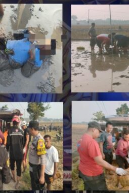 Perbaiki Kabel Pompa Air, Petani di Sragen Tewas Tersengat Listrik, Kapolsek Sidoharjo Imbau Ini