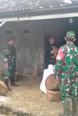Dukung Swasembada Pangan, Babinsa Koramil Jatiroto Kunjungi Tempat Penggilingan Padi