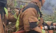 Detik-Detik Kebun Jati Bodas Hangus Terbakar, Damkar Pameungpeuk Berjibaku Selamatkan Pemukiman Warga