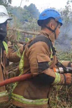 Detik-Detik Kebun Jati Bodas Hangus Terbakar, Damkar Pameungpeuk Berjibaku Selamatkan Pemukiman Warga