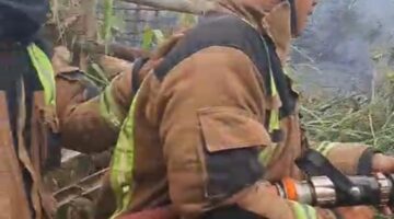 Detik-Detik Kebun Jati Bodas Hangus Terbakar, Damkar Pameungpeuk Berjibaku Selamatkan Pemukiman Warga