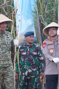 Danrem 072/Pamungkas Hadiri Panen Raya Tebu Serentak di Lanud Adisutjipto