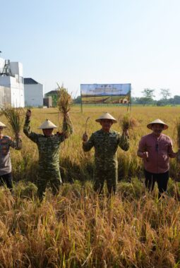 Pangdam IV/Diponegoro Dukung Panen Raya TNI, Perkuat Ketahanan Pangan Nasional
