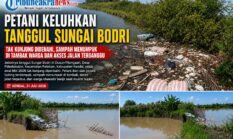 Tanggul Sungai Bodri Jebol Berbulan-bulan, Petani di Pidodokulon Minta Pemerintah Segera Bertindak