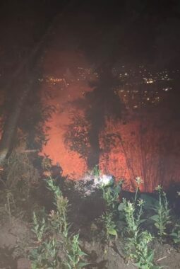 GEGER! JAGO MERAH AMUK KAKI GUNUNG PUTRI, RANCABANGO NYARIS DILAHAP SI JAGO MERAH!