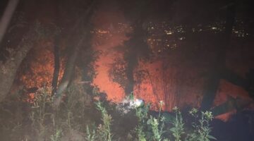 GEGER! JAGO MERAH AMUK KAKI GUNUNG PUTRI, RANCABANGO NYARIS DILAHAP SI JAGO MERAH!