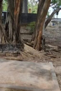 ‎Fenomena Pesugihan Kandang Bubrah: Ritual Kekayaan Tanpa Tumbal Yang Mengguncang Purwantoro.  ‎