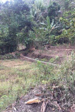 Keluhan Petani Cilacap Menguat: Proyek Irigasi Diduga Sarat Mark Up dan Asal Jadi