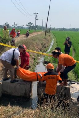 Polisi Dalami Tewasnya Sobak Pembagi Air Irigasi di Sambungmacan, Jenazah Ditemukan Tersangkut di Saluran Persawahan