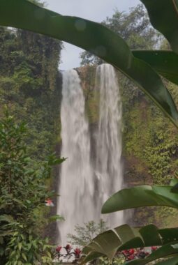 Pesona Curug Sanghyang Taraje: Harta Karun Pasundan yang Siap Memikat Dunia