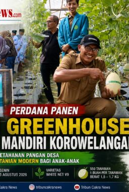 Perdana Panen Melon Greenhouse BUMDes Jaya Mandiri Korowelanganyar, Jadi Edukasi Pertanian Modern bagi Anak-anak