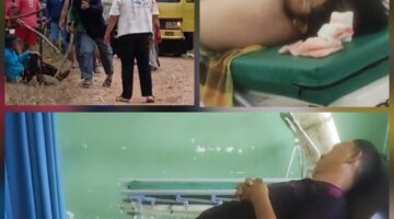 Bupati Palas Didesak Copot Kades Gunung Malintang, : Buntut dari Dugaan Keterlibatan Kasus Penganiayaan di Dusun Balaka 
