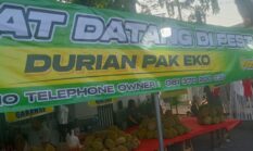 Durian Pak Eko: Kualitas Rasa Sebagai Prinsip Utama — “Tak Enak, Tak Perlu Bayar”