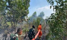 Danyonif TP 952/IB Kerahkan Personel untuk Mengatasi Kebakaran Hutan di Desa Simpang Padang