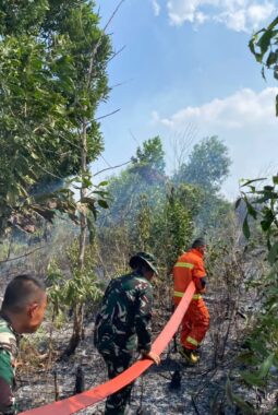 Danyonif TP 952/IB Kerahkan Personel untuk Mengatasi Kebakaran Hutan di Desa Simpang Padang