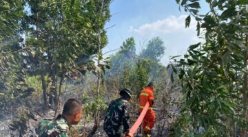 Danyonif TP 952/IB Kerahkan Personel untuk Mengatasi Kebakaran Hutan di Desa Simpang Padang