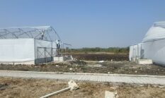 Tahap Kedua Grogol Paliyan Siapkan 1 Hektare Lahan untuk Lumbung Mataraman, Ketahanan Pangan Jadi Prioritas