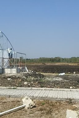 Tahap Kedua Grogol Paliyan Siapkan 1 Hektare Lahan untuk Lumbung Mataraman, Ketahanan Pangan Jadi Prioritas
