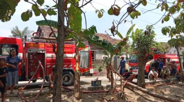 Kandang Sapi Terbakar, Polisi Bergerak Cepat Evakuasi Ternak di Ngrampal