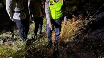 Lahan Kosong Terbakar di Kalijambe, Polisi dan Relawan Bergerak Cepat Padamkan Api