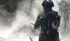 Instruksi Presiden, Tim Alfa TNI Terjun dari Udara Buru Titik Panas Padamkan Bara Karhutla Way Kambas