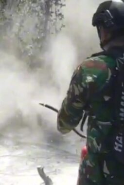 Instruksi Presiden, Tim Alfa TNI Terjun dari Udara Buru Titik Panas Padamkan Bara Karhutla Way Kambas