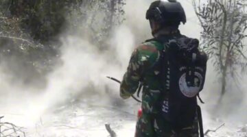 Instruksi Presiden, Tim Alfa TNI Terjun dari Udara Buru Titik Panas Padamkan Bara Karhutla Way Kambas