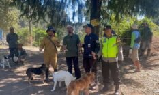 Polsek Selo Dukung Pengendalian Hama Monyet Ekor Panjang melalui Vaksinasi Anjing