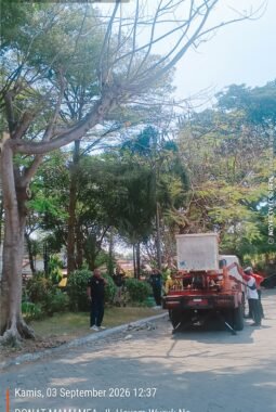 Aduan Warga Langsung Direspons, DLH Jombang Sigap Tangani Pohon Lebat di Kawasan Stadion