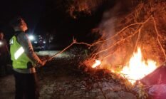 Api bakar Daun kering disertai hembusan angin kencang, bakar lahan milik warga Pabelan
