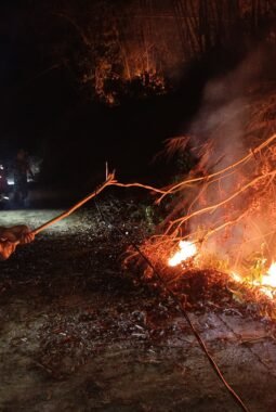 Api bakar Daun kering disertai hembusan angin kencang, bakar lahan milik warga Pabelan