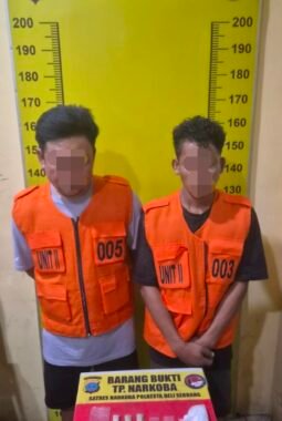 Polresta Deli Serdang Ungkap Kasus Narkotika, Amankan pengedarnya beserta 82,62 Gram Sabu, Ekstasi dan Ganja