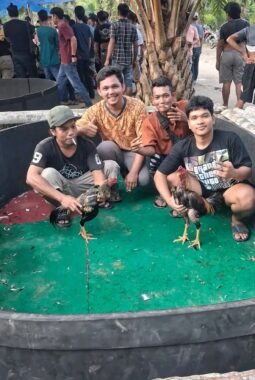 Dugaan Pelanggaran Berlapis Telaga Sari: Dari Penyerobotan Lahan Garapan hingga Sarang Perjudian Dadu & Sabung Ayam ‘Edy alias Sembiring’
