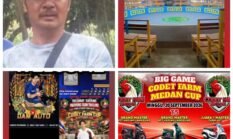 Codet dan Aan Gelar Perjudian Laga Ayam di Kota Binjai, Polisi Diduga Tutup Mata