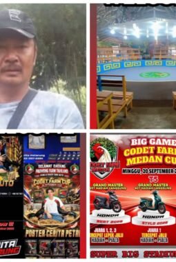 Codet dan Aan Gelar Perjudian Laga Ayam di Kota Binjai, Polisi Diduga Tutup Mata