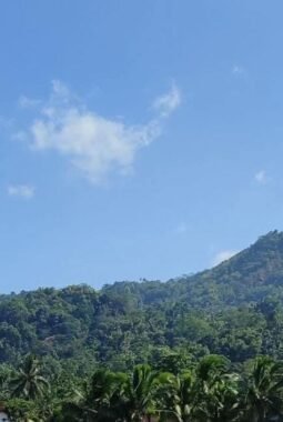 Gunung Situ Cibungaok Bungbulang Kembali Terbakar, Warga Percaya Pertanda Datangnya Musim Hujan