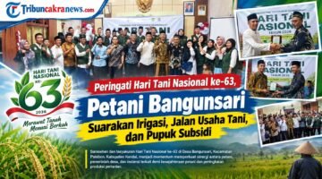 Hari Tani Nasional ke-63, Petani Bangunsari Suarakan Irigasi, Jalan Usaha Tani, dan Pupuk Subsidi