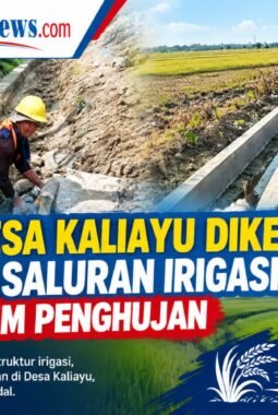 P3-TGAI Desa Kaliayu Dipercepat, Dukung Kesiapan Pertanian Hadapi Musim Penghujan
