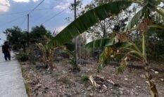 Sidak KDMP Gilirejo Baru, Warsito Tegaskan Pengadaan Lahan Sesuai NJOP dan Anggaran untuk Penataan Lahan