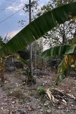 Sidak KDMP Gilirejo Baru, Warsito Tegaskan Pengadaan Lahan Sesuai NJOP dan Anggaran untuk Penataan Lahan