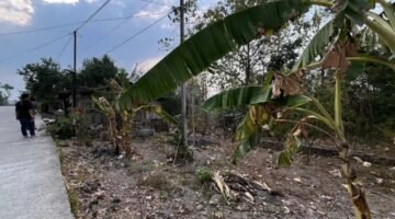 Sidak KDMP Gilirejo Baru, Warsito Tegaskan Pengadaan Lahan Sesuai NJOP dan Anggaran untuk Penataan Lahan