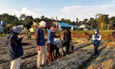 Siapkan SDM Pertanian Mandiri di Papua, TEP UNDIP Bekali Siswa Keerom Keterampilan Agribisnis