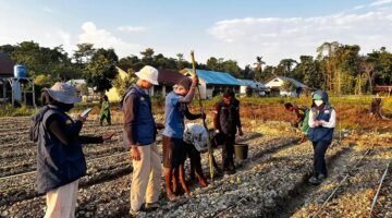 Siapkan SDM Pertanian Mandiri di Papua, TEP UNDIP Bekali Siswa Keerom Keterampilan Agribisnis